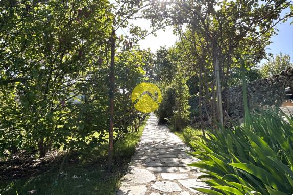 MAISON DE BOURG HABITABLE DE SUITE