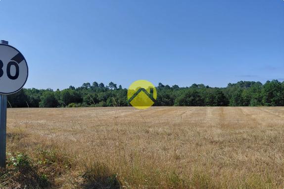 BELLE Terrain agricole