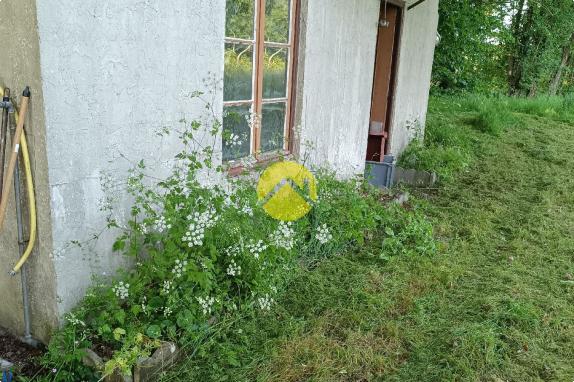 Étangs à l'abris des regards !