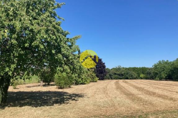Campagnarde au calme