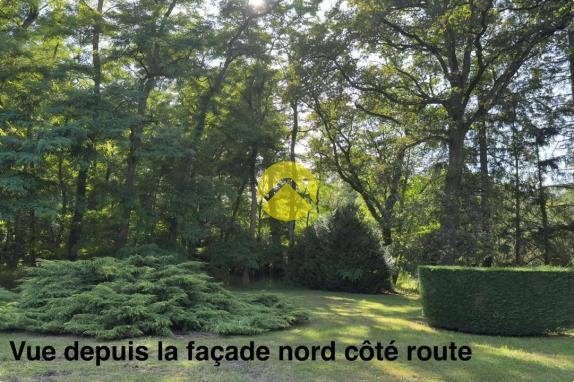 IDYLLIQUE