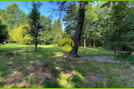 Maison Solognotte Terrain 6345m²