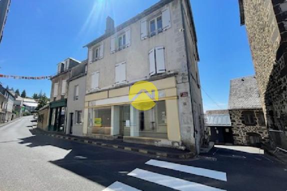 IMMEUBLE EN RAPPORT