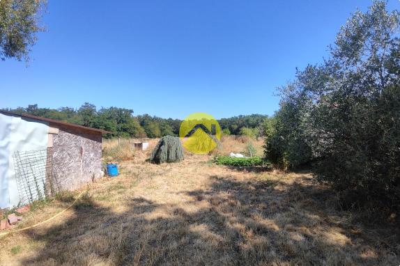 BELLE LONGERE GRAND TERRAIN 