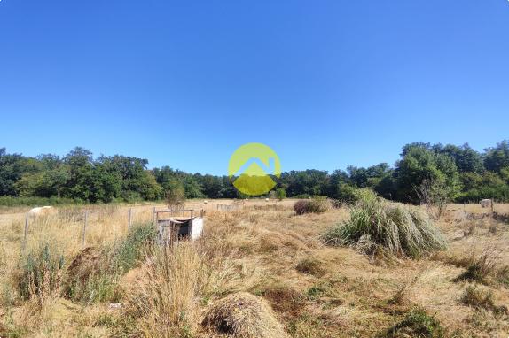 BELLE LONGERE GRAND TERRAIN 