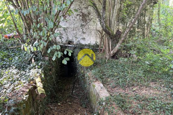 maison a restaurer totalement