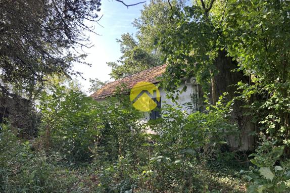 maison a restaurer totalement