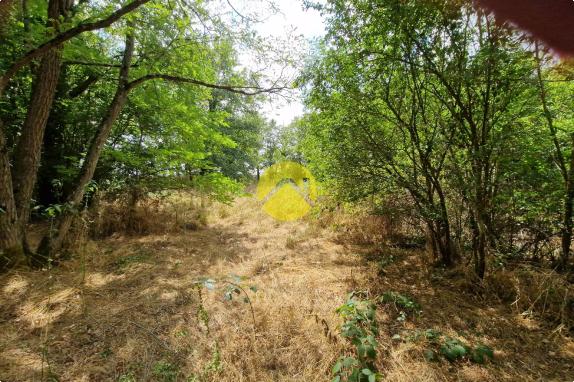 Terrain à Bâtir La guerche sur l aubois, m2 à vendre