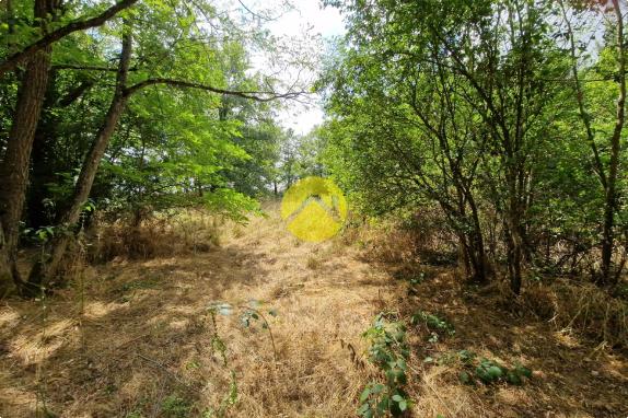 Terrain constructible de 2505 m²
