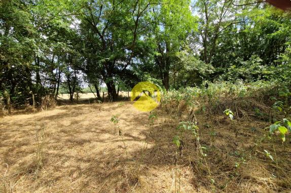 Terrain constructible de 2505 m²