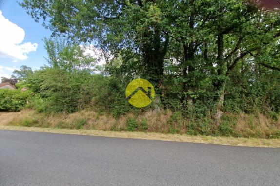 Terrain constructible de 2505 m²