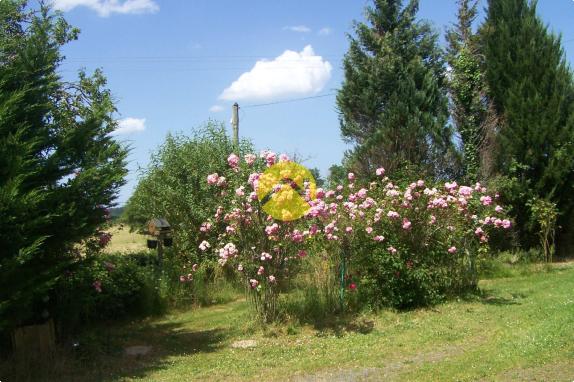 PAVILLON A RAFRAICHIR