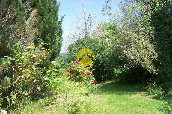 PAVILLON A RAFRAICHIR