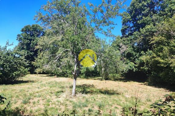 19683m² de terrain attenant...