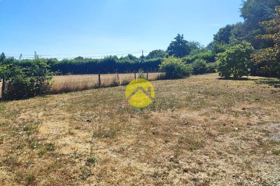 19683m² de terrain attenant...