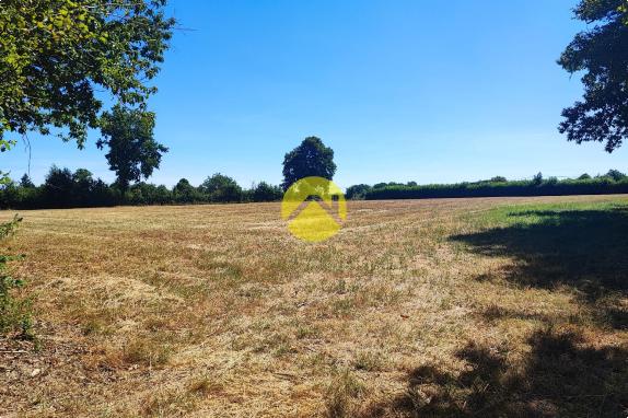 19683m² de terrain attenant...