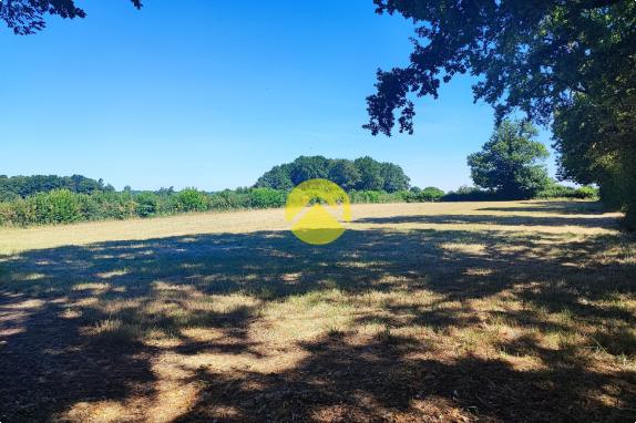 19683m² de terrain attenant...