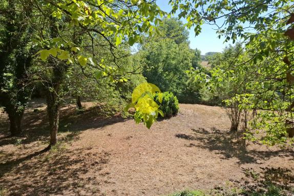 Terrain de Loisirs