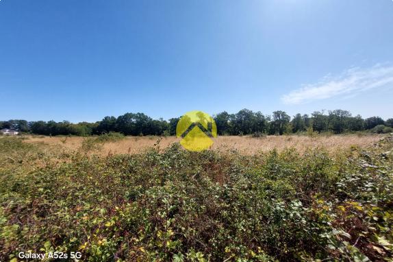 terrain constructible