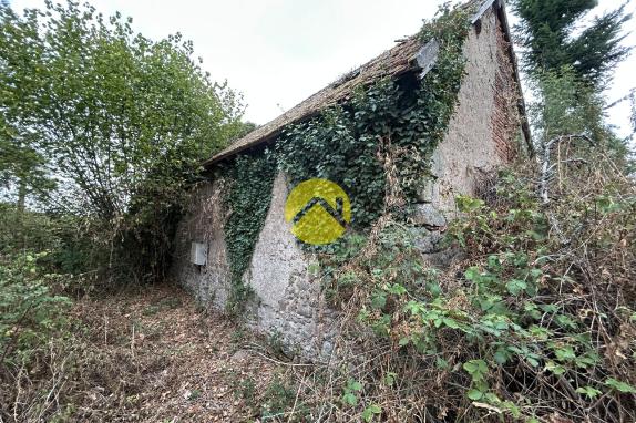 Maison isolée