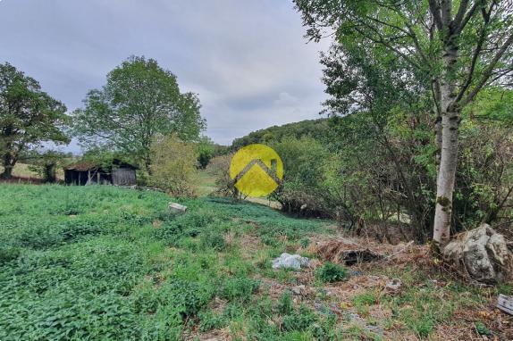 Grange à rénover – Beau projet 