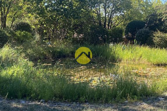 Joli plain-pied dans un village