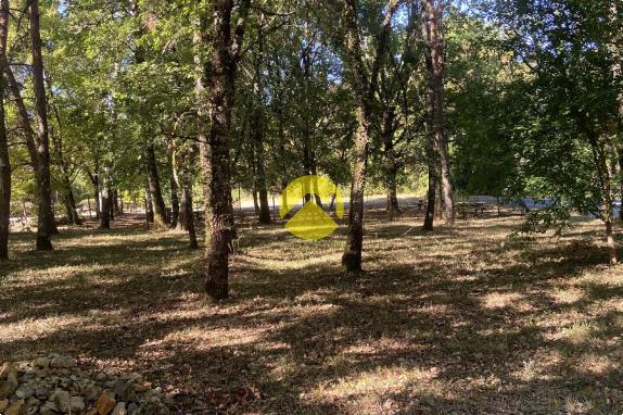Joli plain-pied dans un village