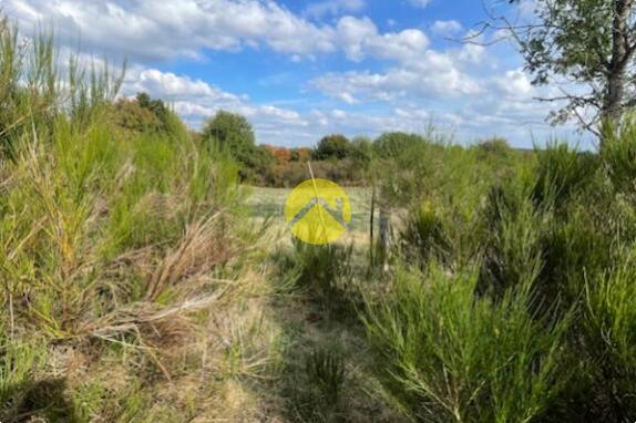 TERRAIN AGRICOLE