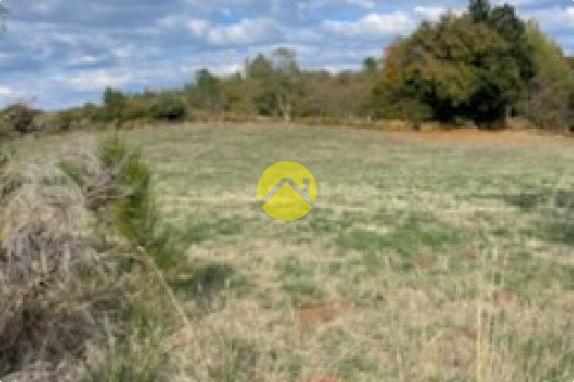 TERRAIN AGRICOLE