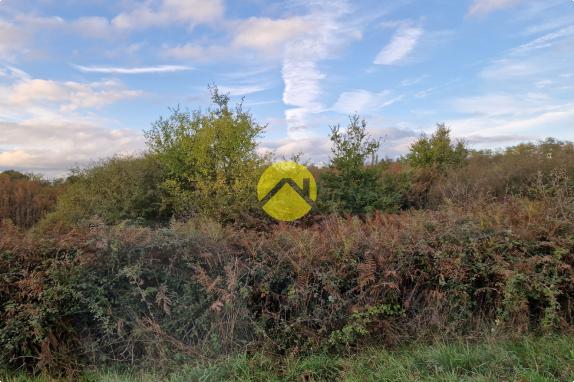TERRAIN AGRICOLE DE 30510 M²