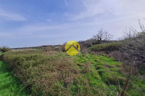 CALME & TRANQUILLITE 