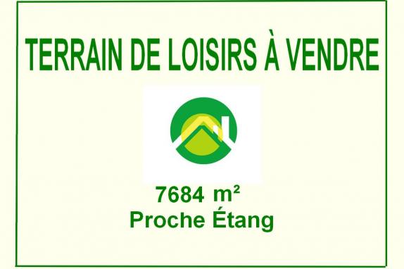 Terrain de Loisirs / Etang / Chalet Sancoins, 7684m2 à vendre