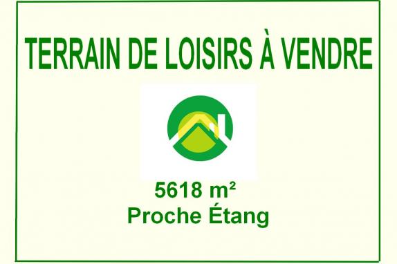 Terrain de Loisirs / Etang / Chalet Sancoins, 5618m2 à vendre