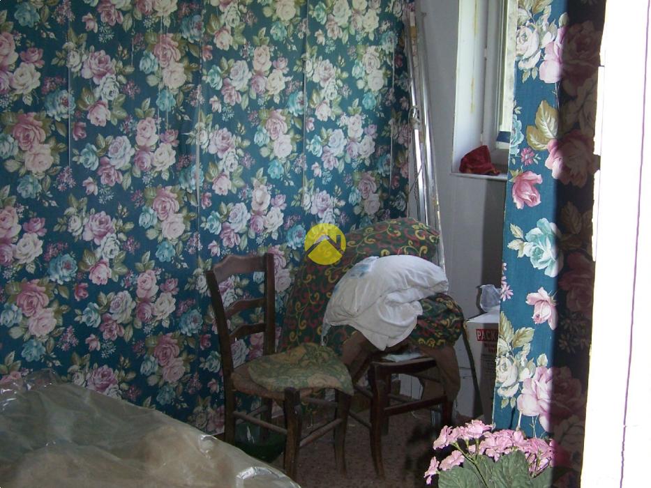 au bout du chemin 2 maisons 7ha 
