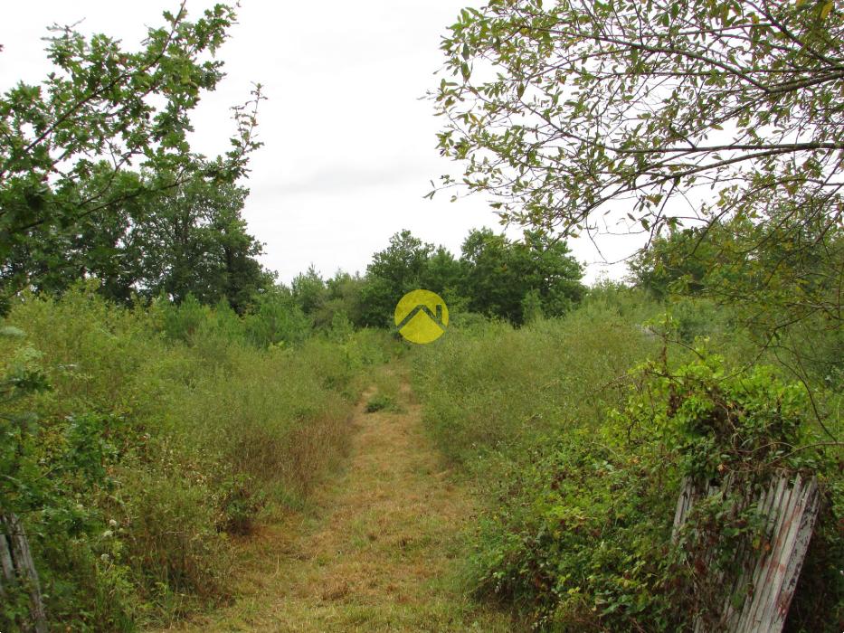 Terrain