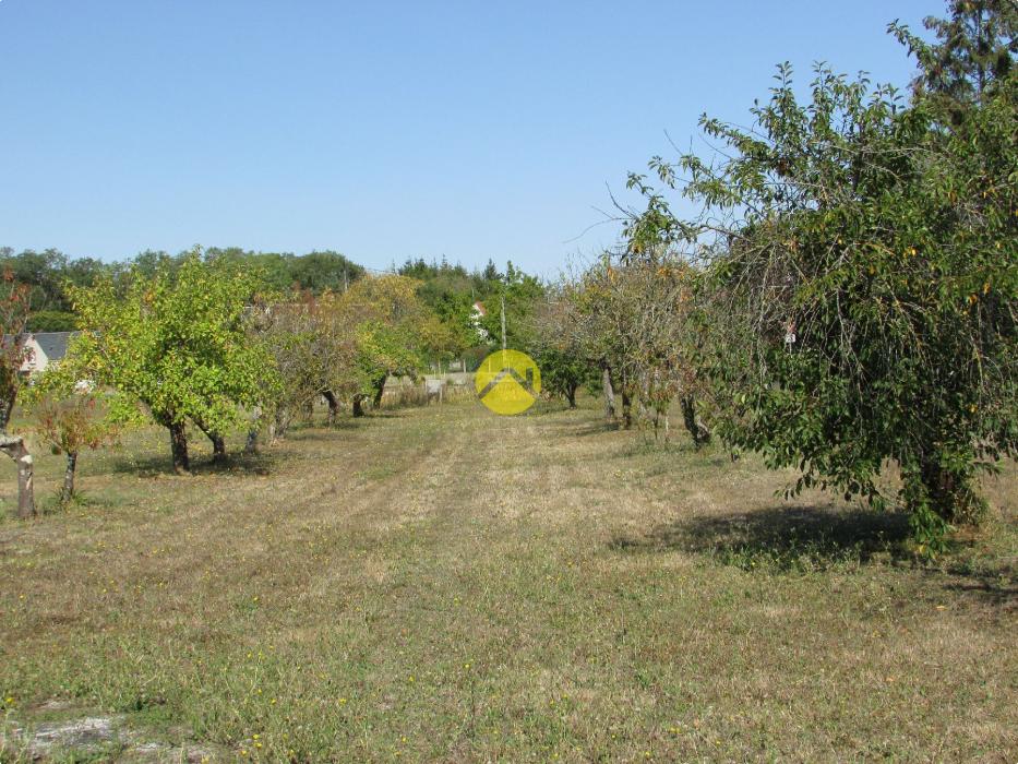 Terrain a Bâtir 