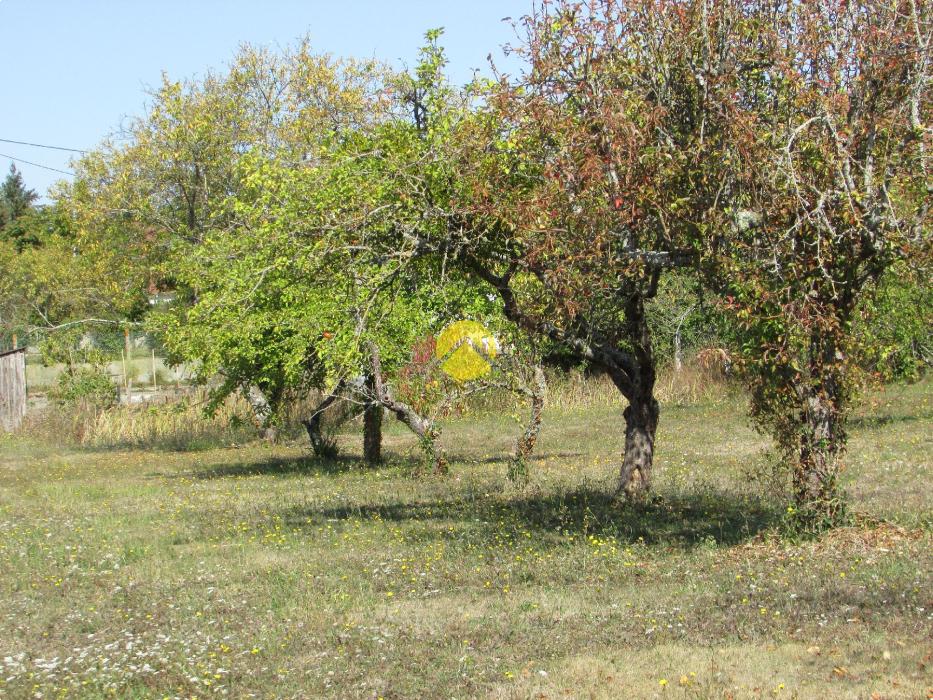 Terrain a Bâtir 