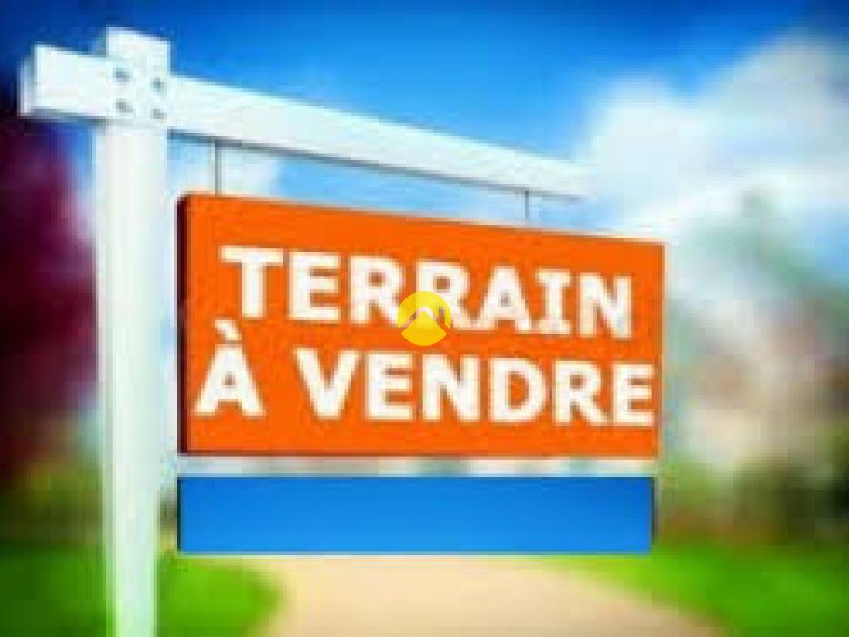 Terrain dans ZI pour pro