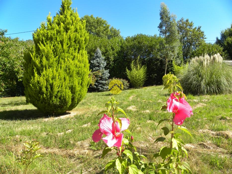 BAISSE DE PRIX