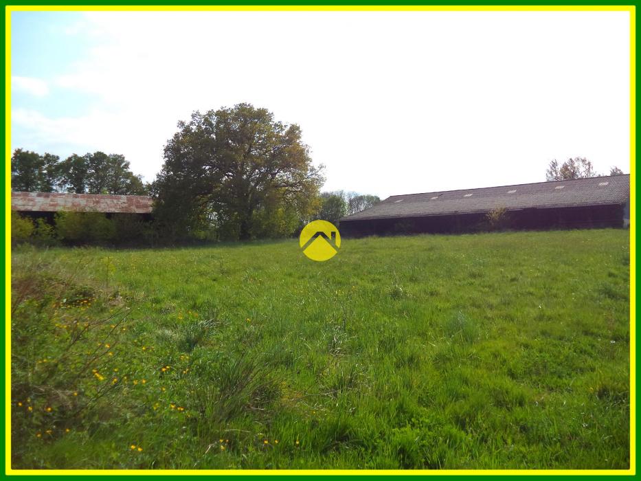 ANCIENNE FERME 2 Hectares 800