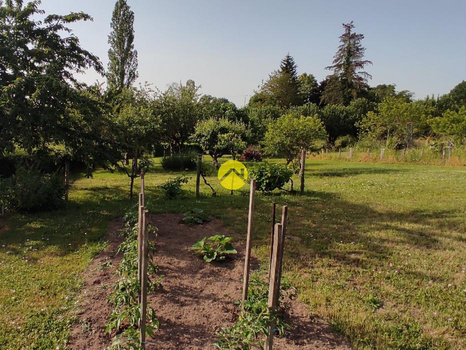 Proche forêt de Tronçais