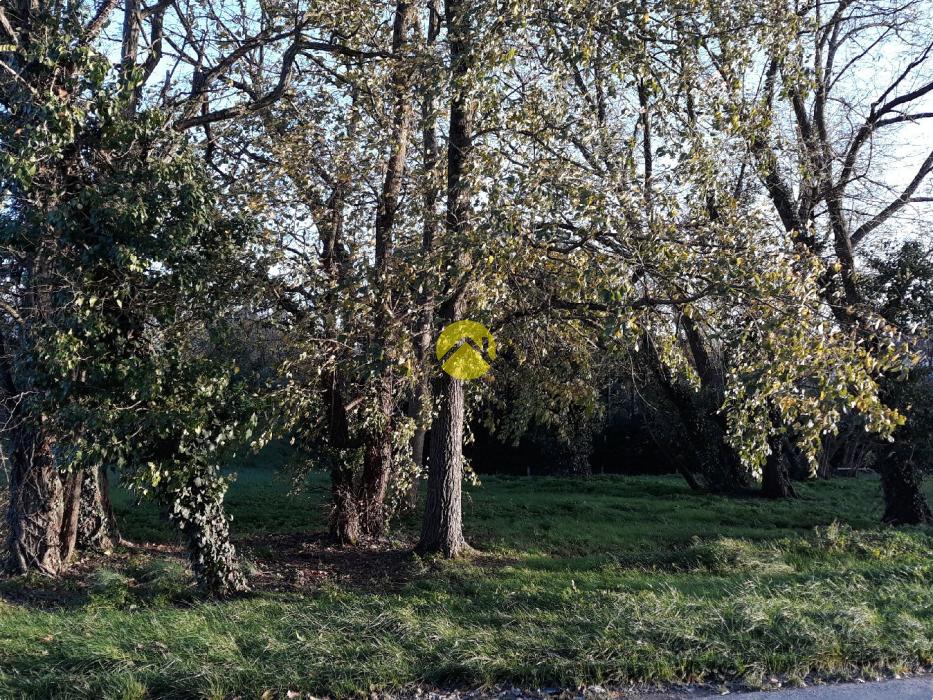 Terrain à Bâtir