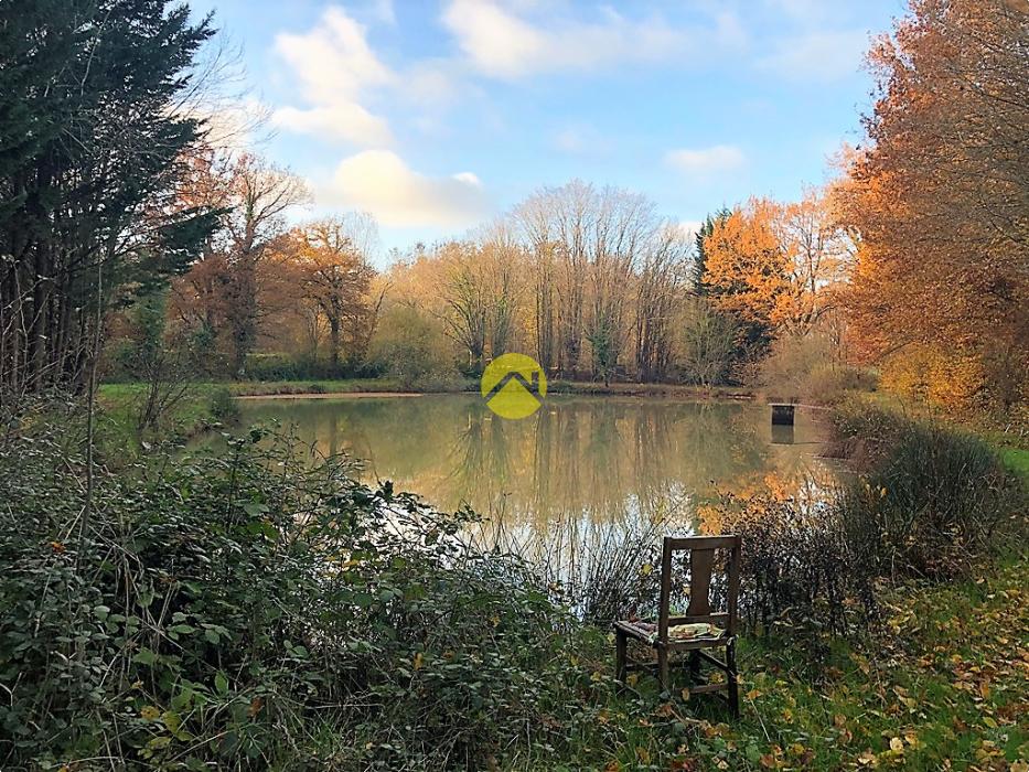 ETANG BAISSE DE PRIX