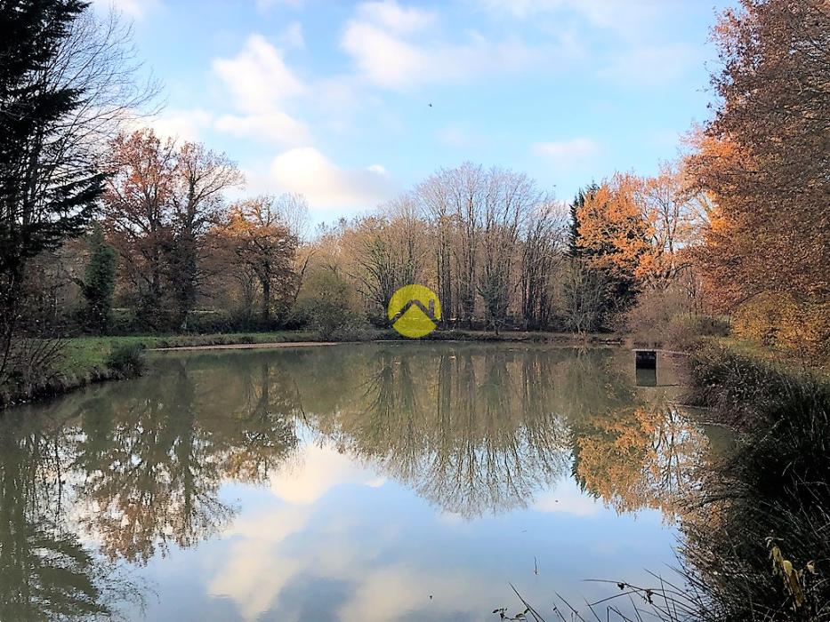 ETANG BAISSE DE PRIX
