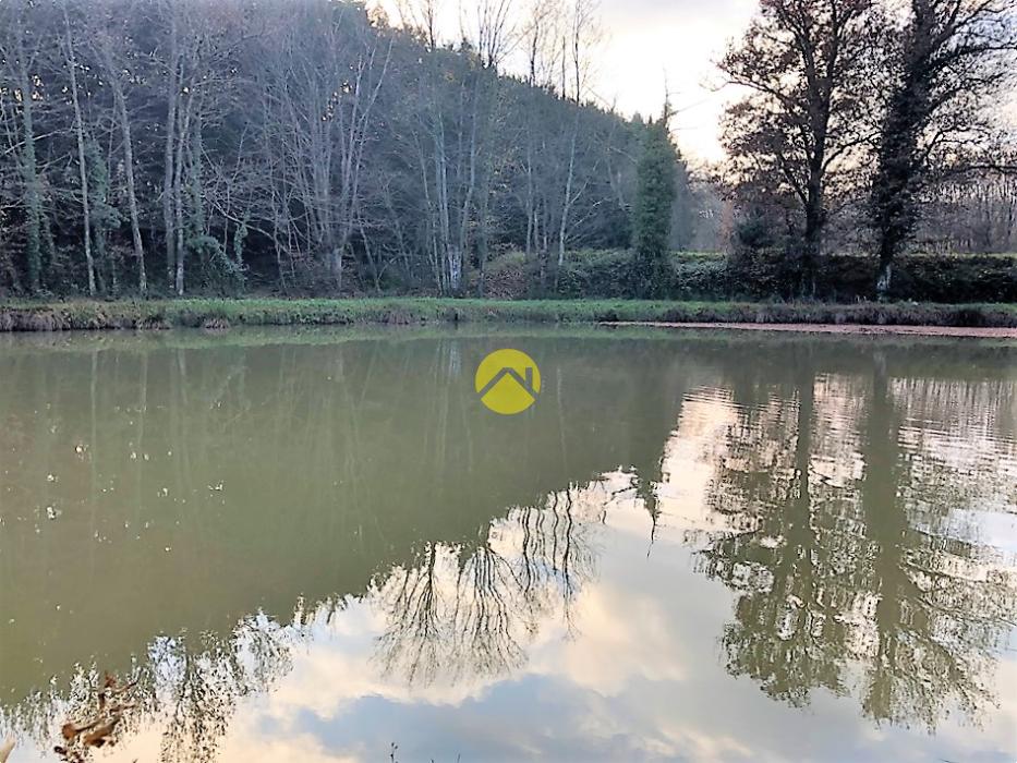 ETANG BAISSE DE PRIX