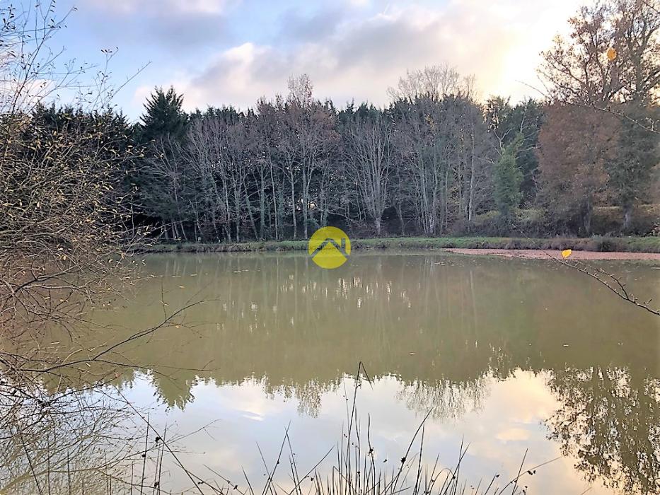 PÉCHEURS, À VOS LIGNES!!