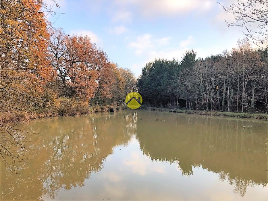 PÉCHEURS, À VOS LIGNES!!