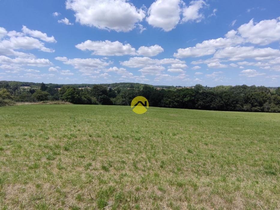 TERRAIN AGRICOLE