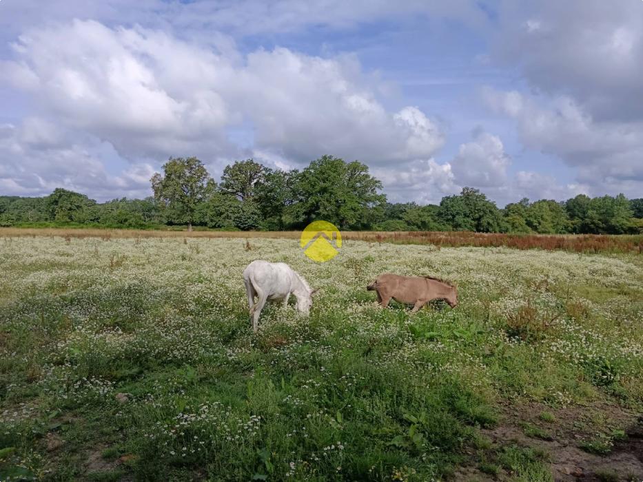 Corps de ferme sur 3ha 71a 58c