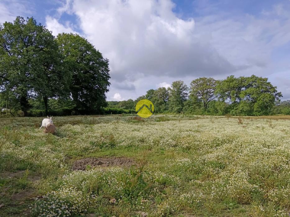 Corps de ferme sur 1ha78a38ca
